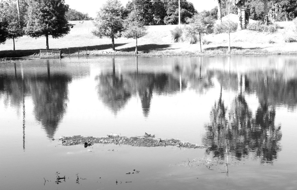 Blanchard Park Lake Park Lake Aperture f/32.0 Shutter Sp