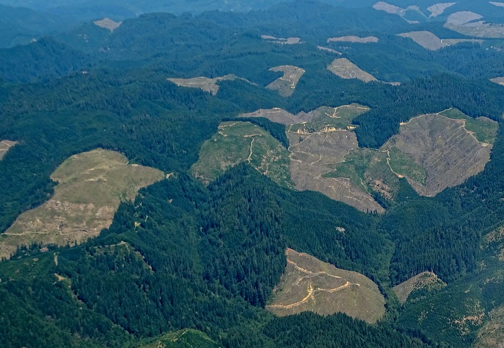 Weyerhaeuser's Forest DSC06556 This 209,000 acre block of … Flickr