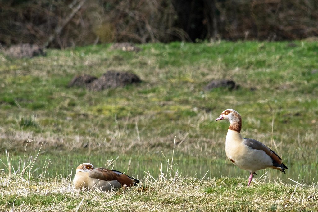 Lakes 006 Richard Farrow Flickr