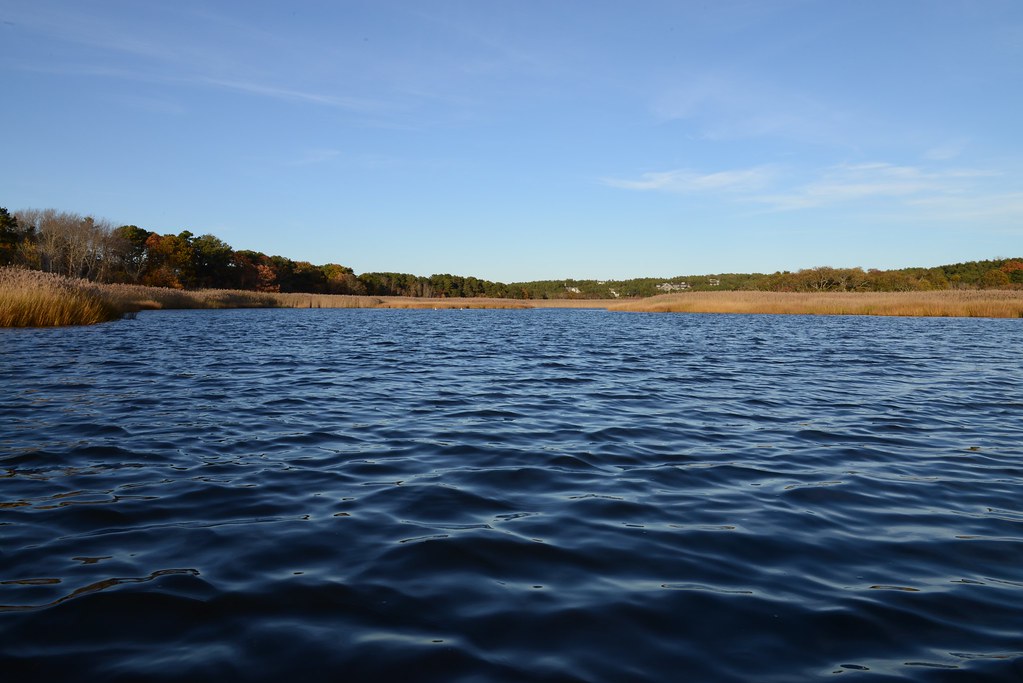 Herring River, Wellfleet, November 8, 2014 (6397) stephen.broker Flickr