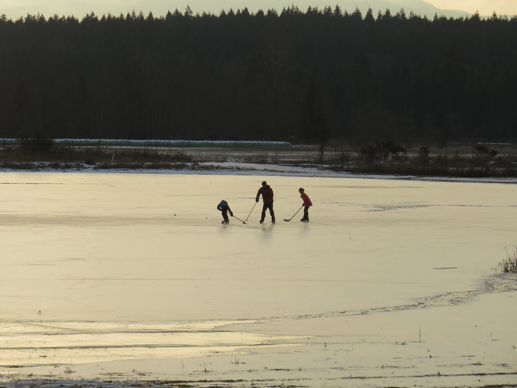 Skating on thin Ice A rare sight in the Comox valley Two o… Margo