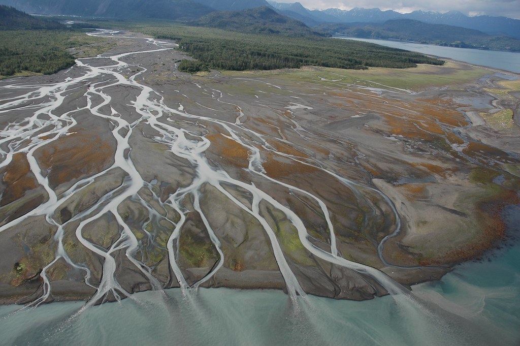 Braided river delta with red & green lora at low tide Lowe… Flickr