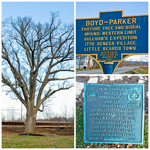 Boyd Parker Torture Tree The "Boyd Parker Torture Tree" Du… Flickr