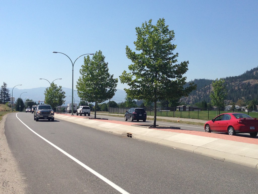 Trees of the Glenmore Median Kelowna, British Columbia 20… Flickr