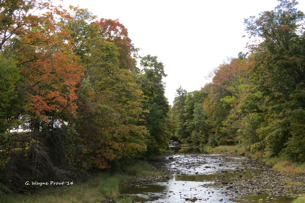 Twenty Mile Creek Ball's Falls Conservation Area Jorda… Flickr