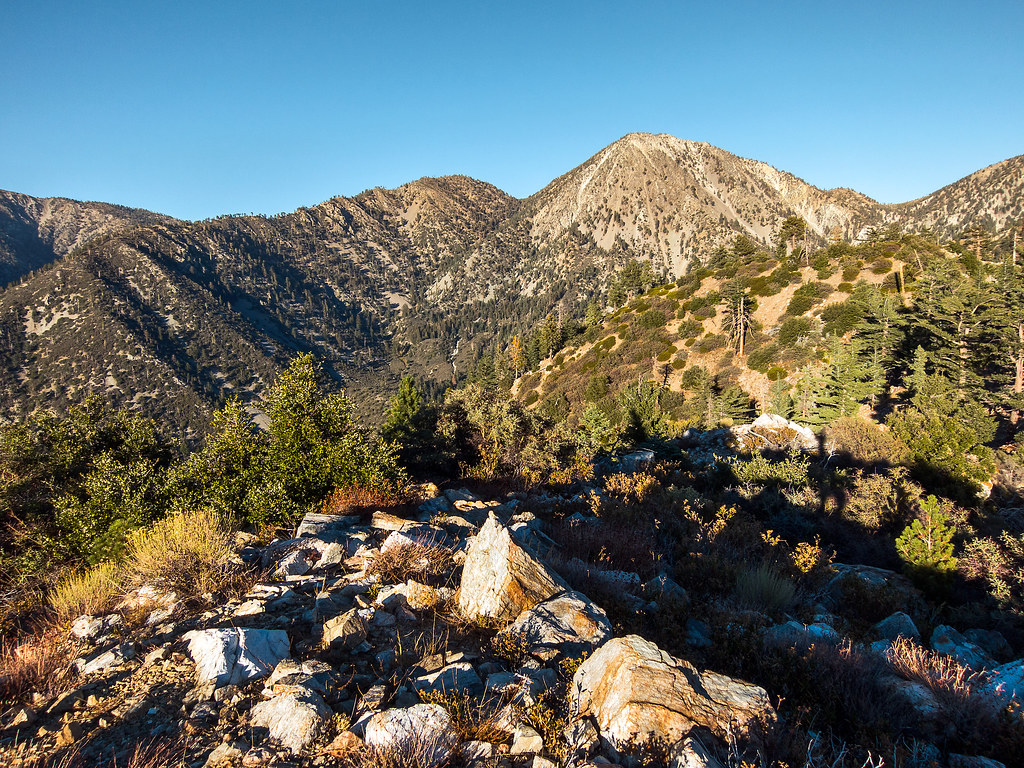 Telegraph Peak from Sugarloaf Cucamonga Wilderness, CA Flickr