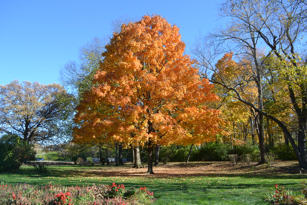 Untitled Bekah Pollard Flickr