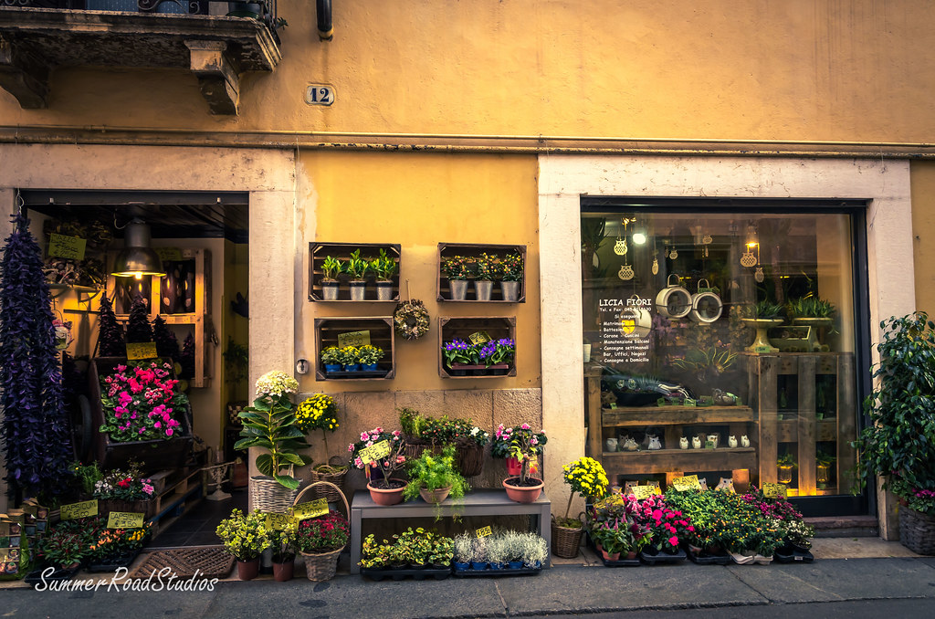 Flower shop. Flower shop in Verona, early morning. David Spencer