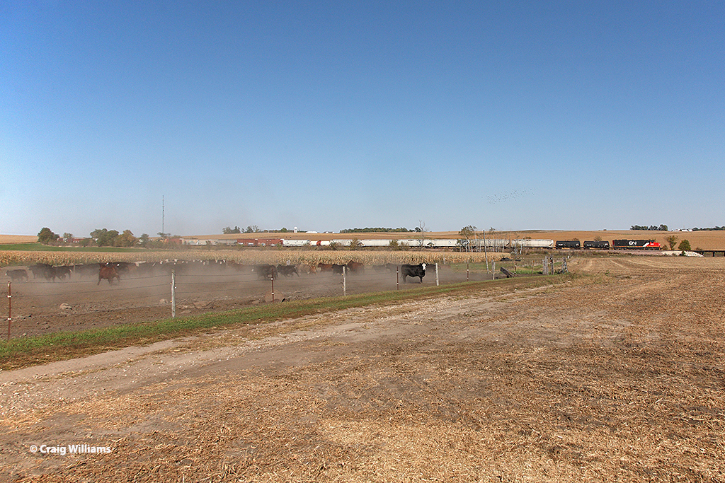 CN 5415 Southbound L5639112 South of Coggon IA I had a lit… Flickr
