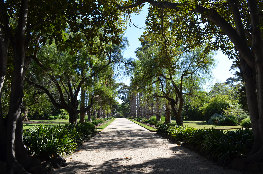 Williamstown Botanic Gardens Williamstown Botanic Gardens Flickr