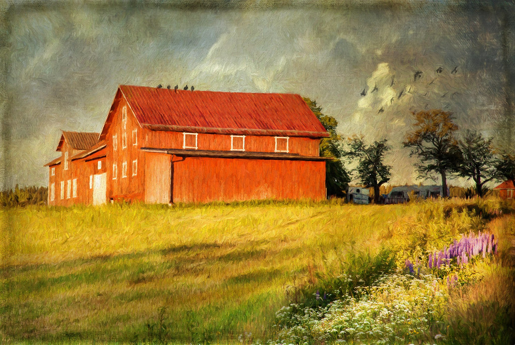 Falu red paint. Falu Red paint is the name for red dye pro… Flickr