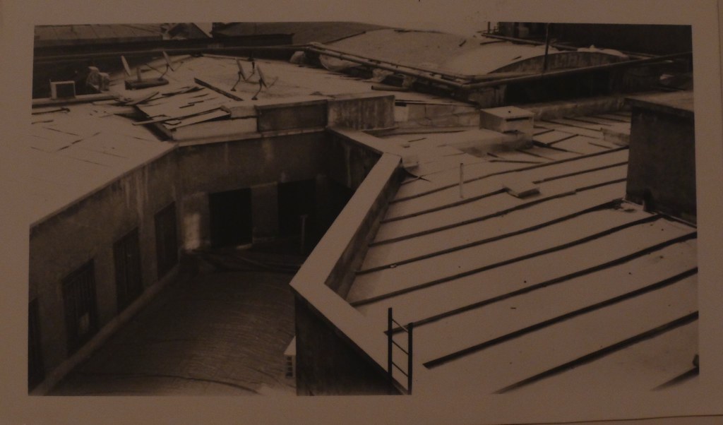 Foma Paper Darkroom Print VISION2 50D Color Negative Fil… Flickr