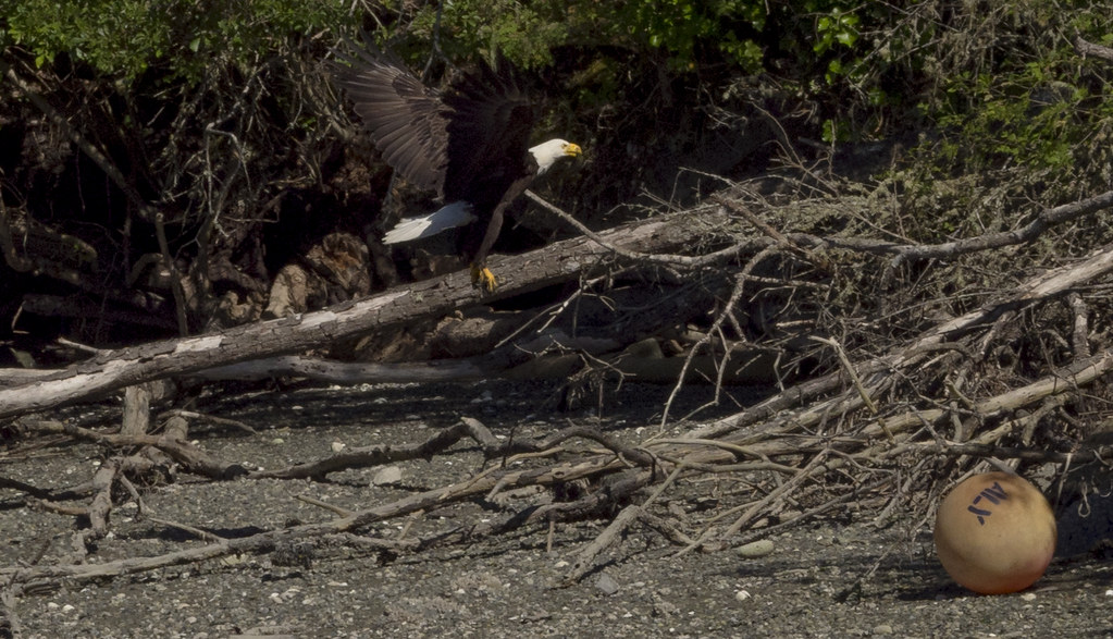 P607111444 Blind Bay, Shaw Island, WA Sherrie Stahl Flickr