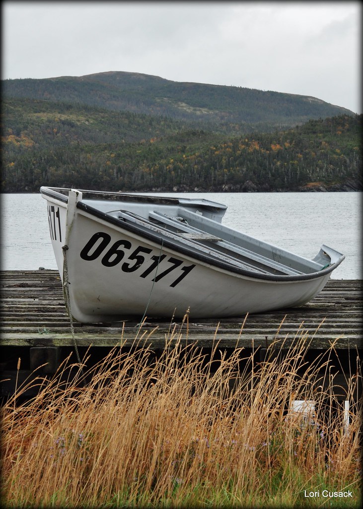 Elevation of Come By Chance, NL, Canada Topographic Map Altitude Map