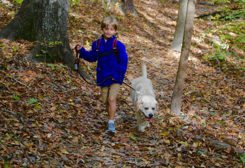Mason Neck Wildlife Refuge Flickr