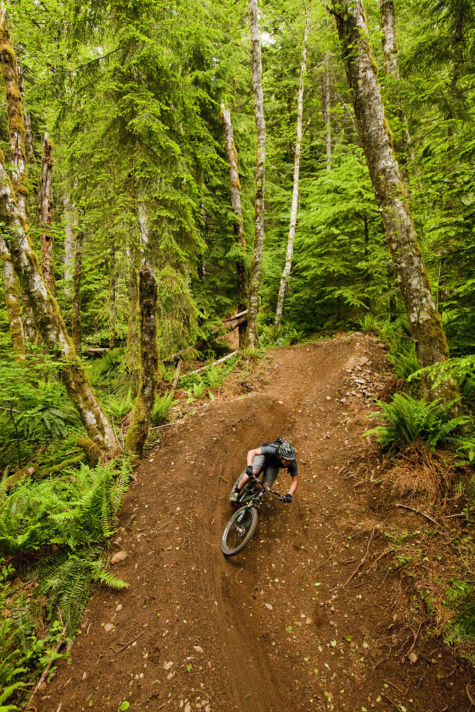 Sandy Ridge Trail System a photo on Flickriver