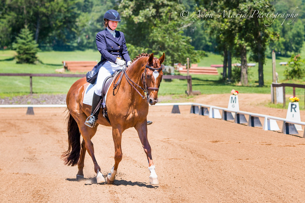 Otter Creek Dressage anyaotterson Flickr
