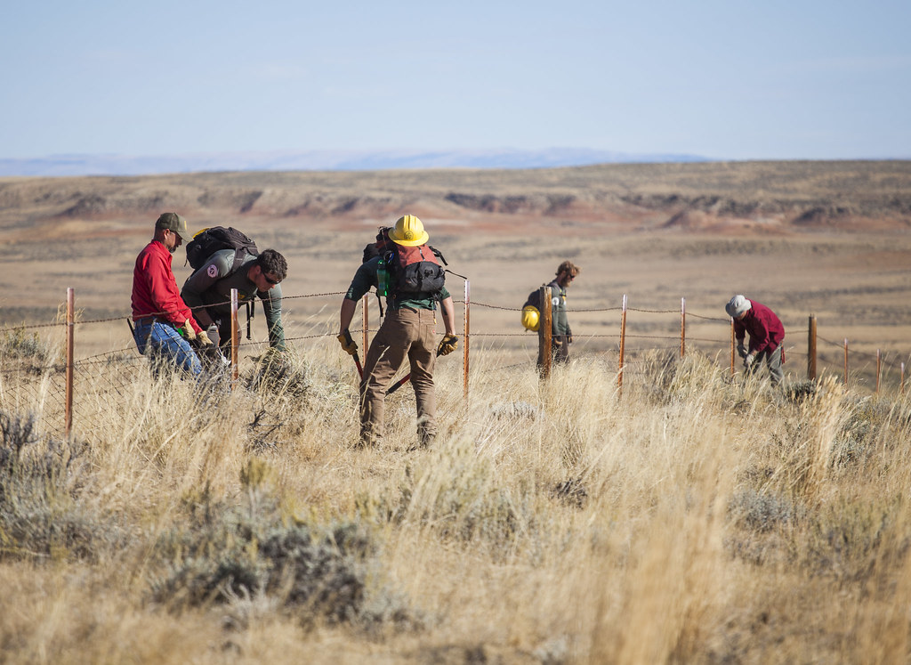 NPLD 2015 BLM Wyoming Help Wildlife The BLM Wyoming Cody … Flickr