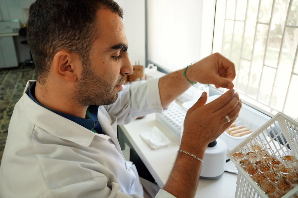 ICARDA Laboratory in Terboul Lebanon Flickr