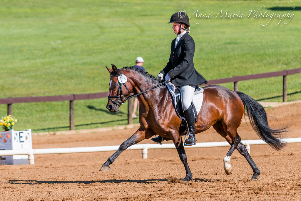 Otter Creek Dressage anyaotterson Flickr