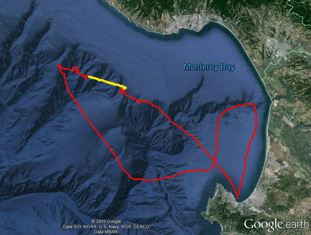 Shearwater Journeys Mty Bay Pelagic 12 Sep 2015 Leg 4 of 9… Flickr
