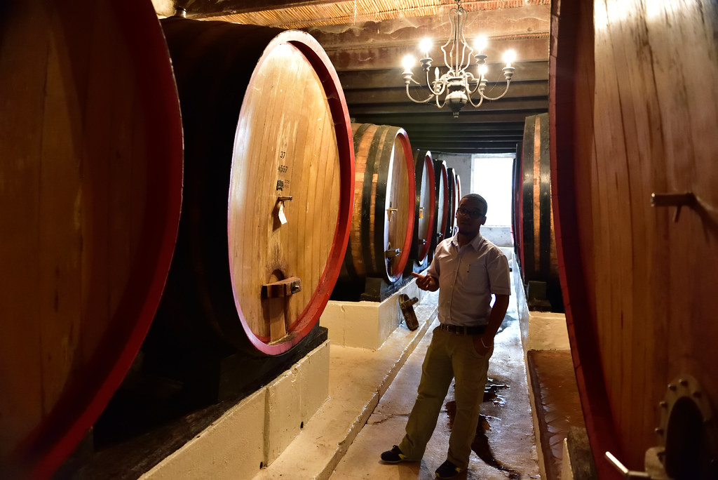 Wine Cellar, Warwick Wine Estate, Stellenbosch, Western Cape, South Africa a photo on Flickriver