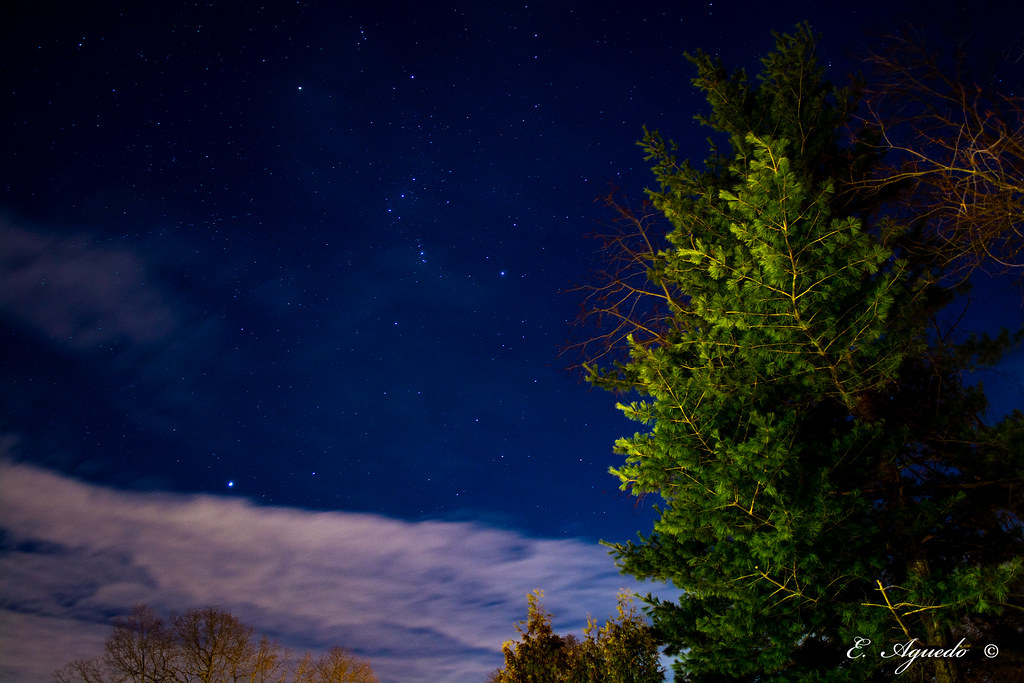 Orion belt Orion belt, betelgeuse and other stars. Edgard Aguedo