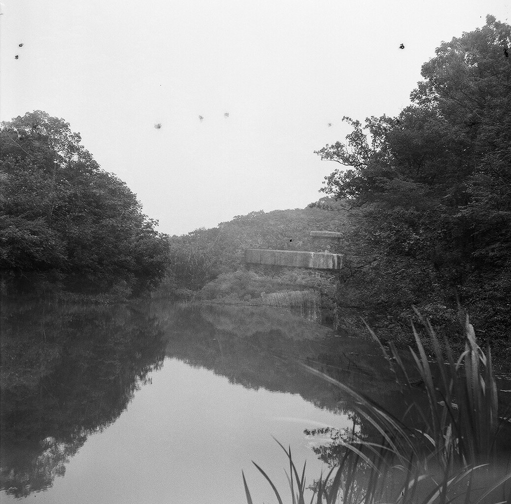 Watchung Reservation Watchung Reservation, New Jersey, Yas… David