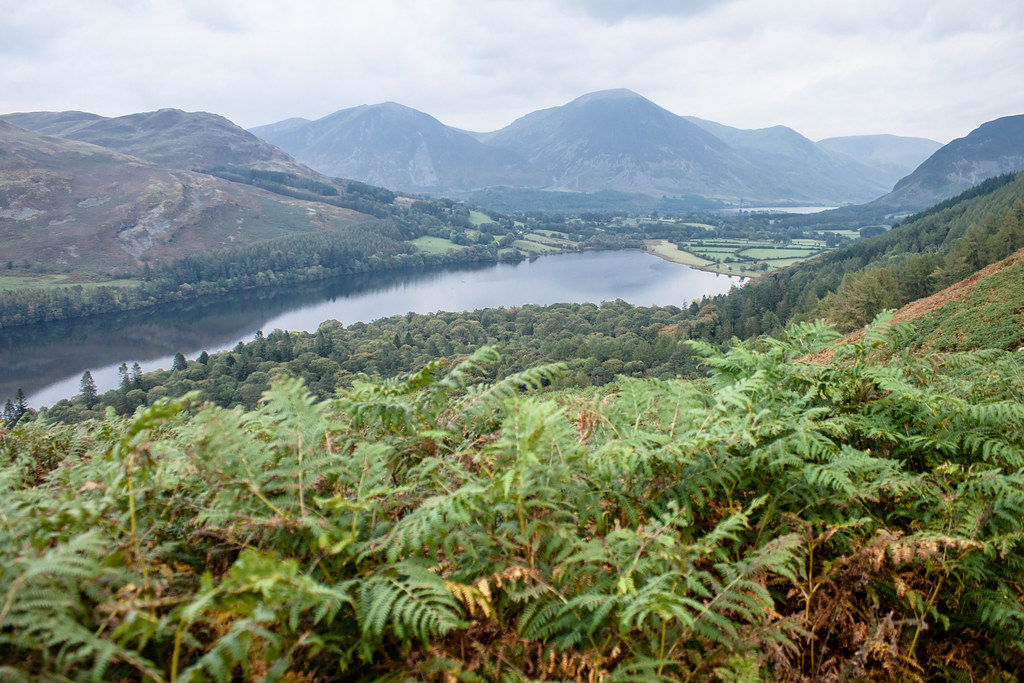 Bracken above Loweswater With the beginning of Crummock Wa… Flickr