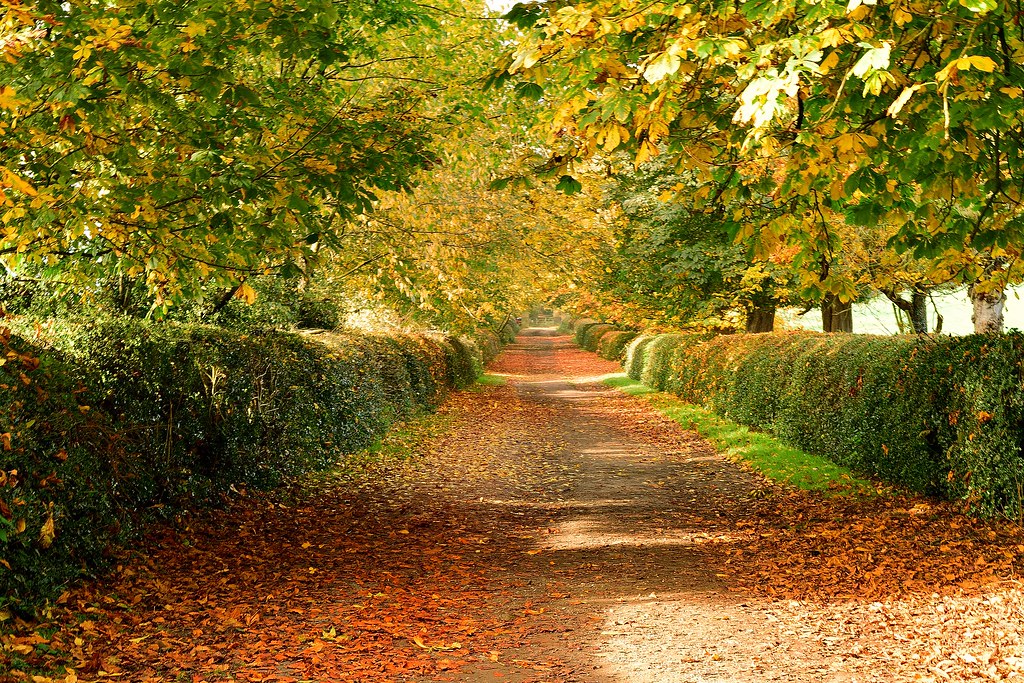 Old Coach Road. Christopher Padgett Flickr
