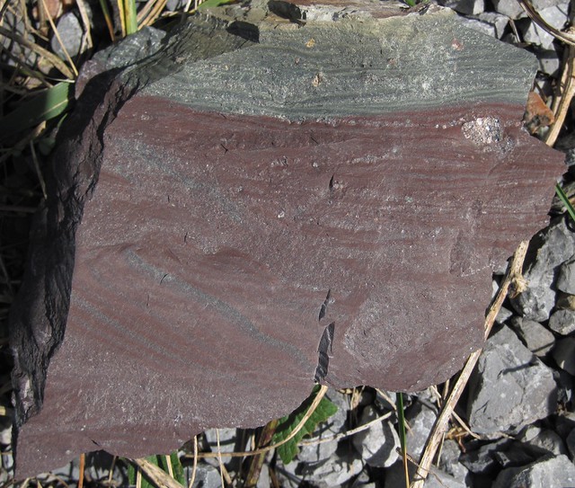 Proglacial lacustrine argillite with dropstone (Konnarock Formation
