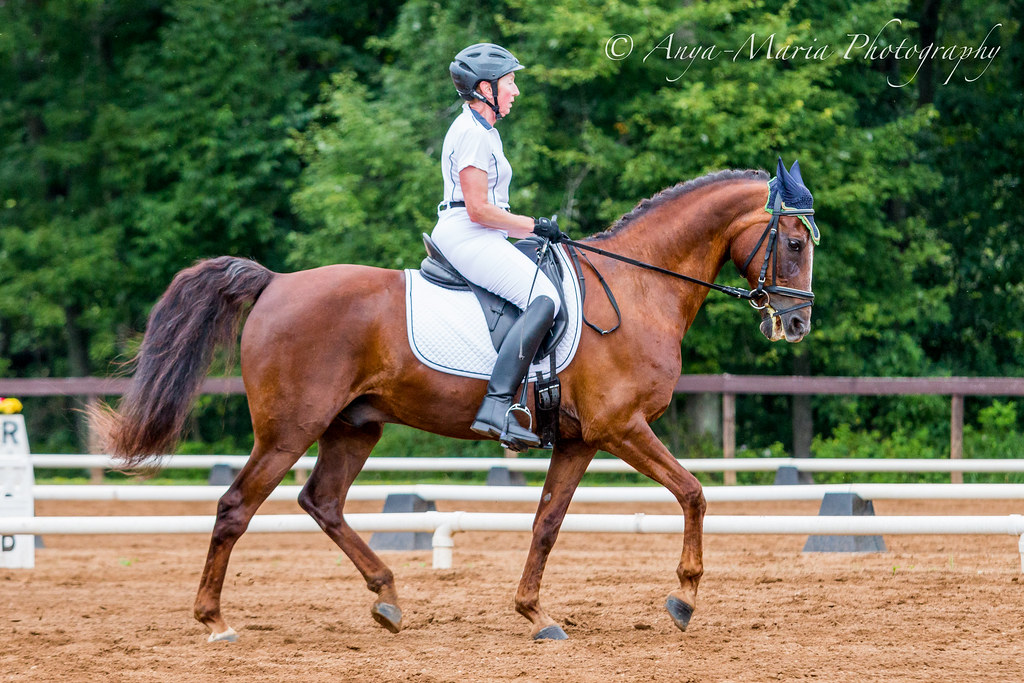 Otter Creek Dressage anyaotterson Flickr