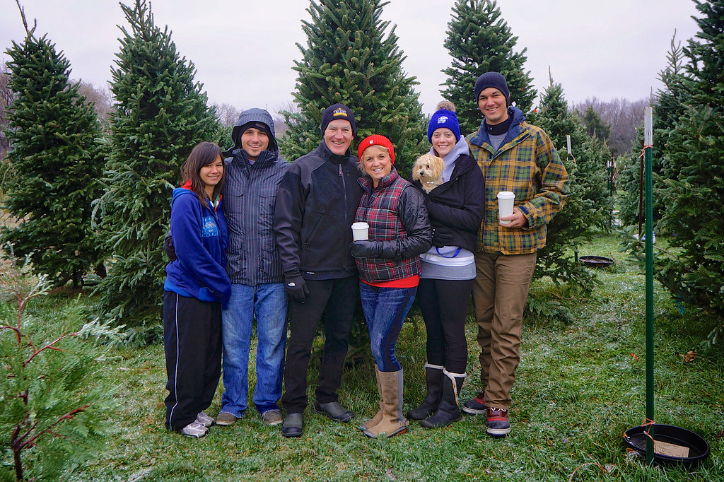 11 footer selected Christmas Tree 2015 Evening Star Pines … Flickr