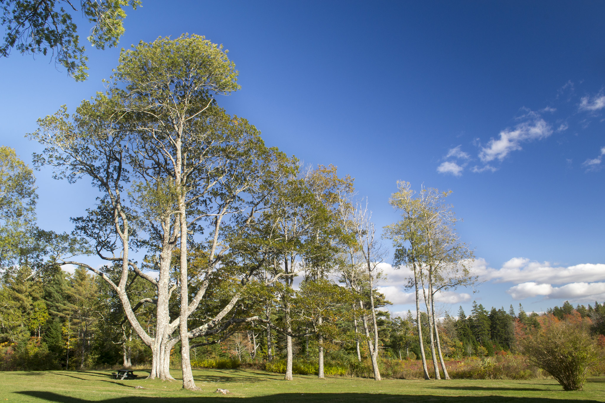 Photos Uniacke Estate Museum Park in Mount Uniacke, Nova Scotia