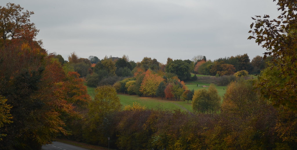 DSC_2986cr Hawarden Golf Course from Tinkersdale car park.… Ian