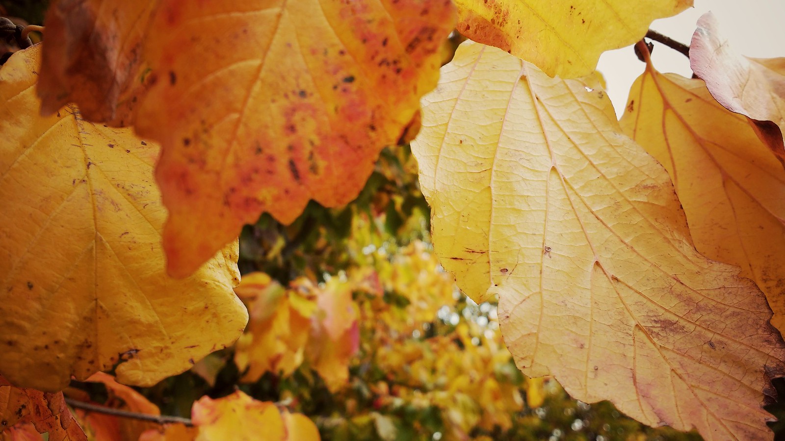 I'm going outside, I may be some time Flickr