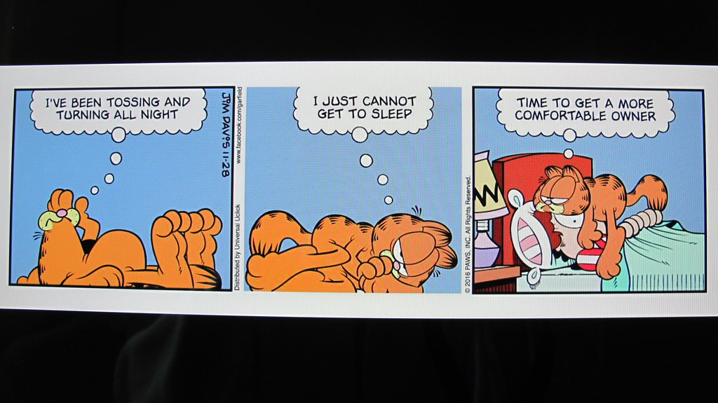 Garfield has sleep problems.... For our cat loving friends… Flickr