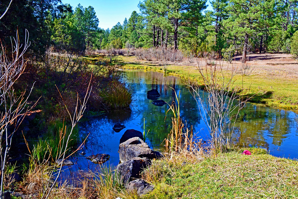 Porter Creek Porter Creek off of Trail 608, Flickr