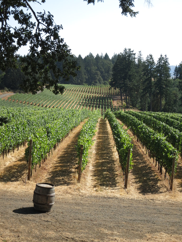 White Rose Estate, Dayton Oregon White Rose Estate, Dayton… Flickr