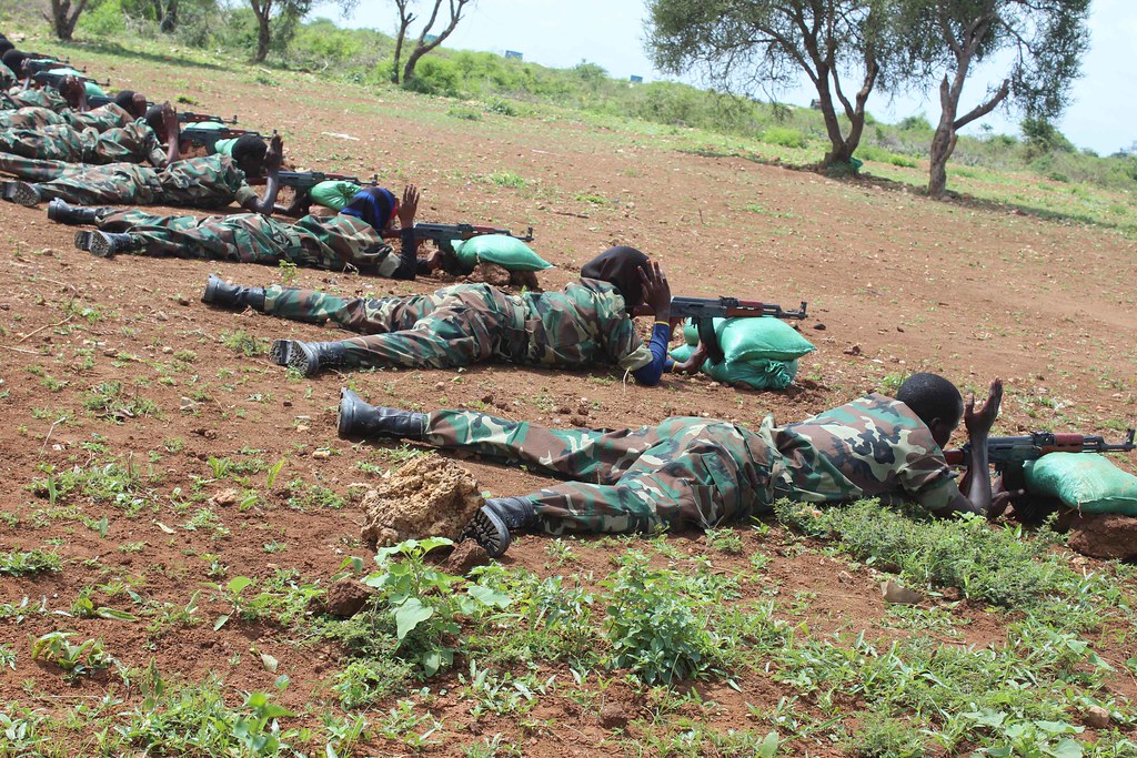 Soldiers of the In… Flickr