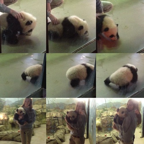 Farmville 2 Zoologist Zoe at Carmen Winn blog