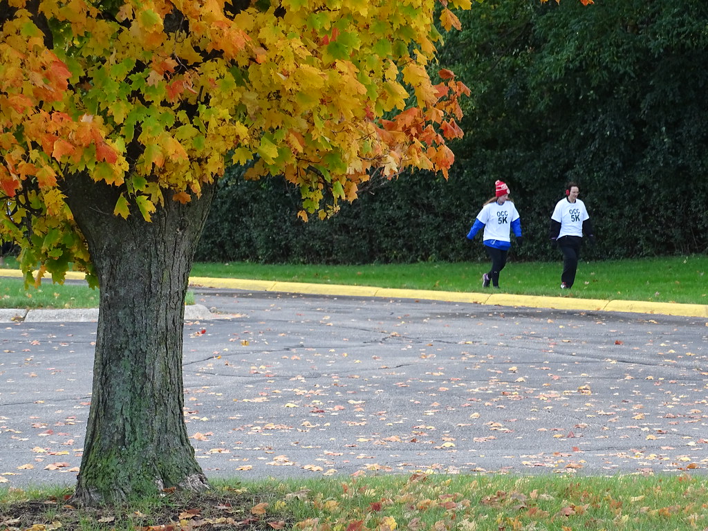 DSC00384 Oakland Community College Flickr