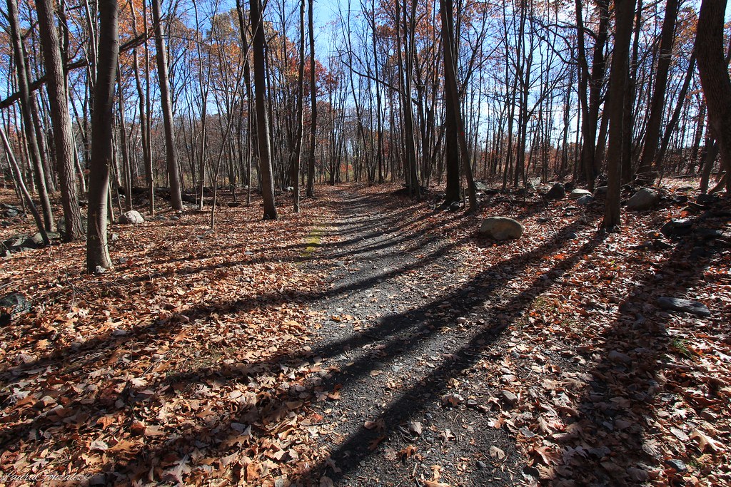 Mount Hope Historical Park Known locally as the Richard Mi… Flickr