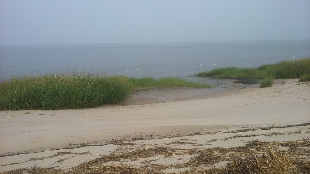 Gandy's Beach, NJ Allison Ostertag Flickr