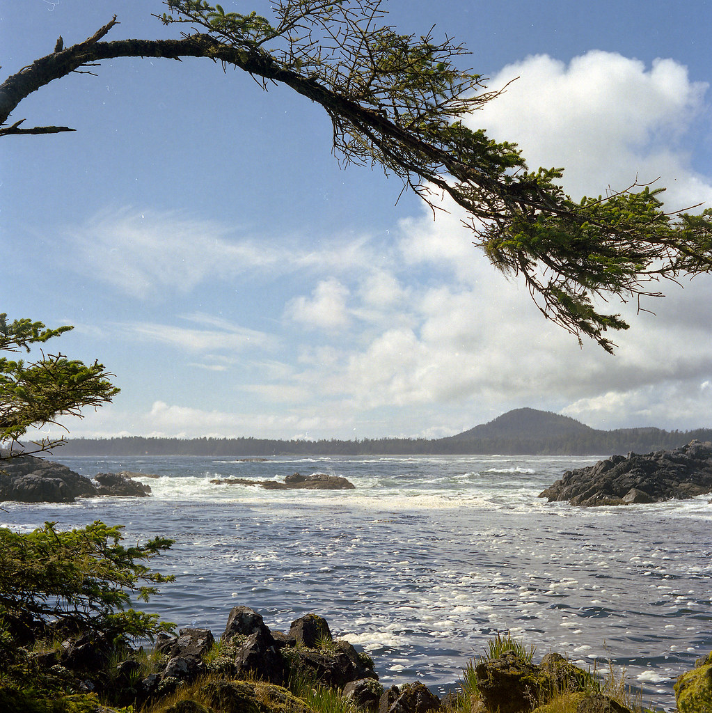 Cow Bay III Cow Bay, Flores Island, BC Niall MacRae Flickr