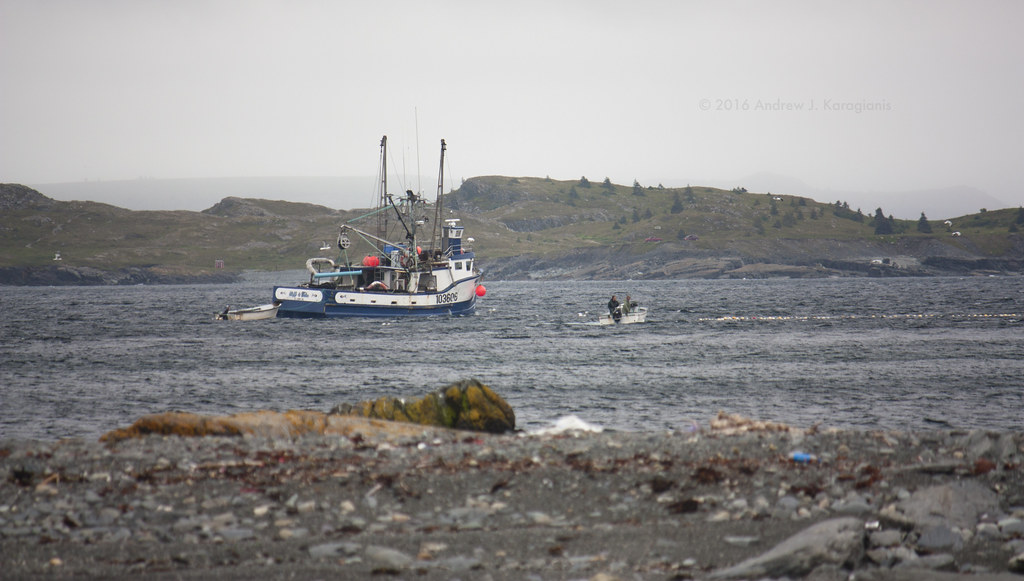 Upper Island Cove After Harbour Grace, it appears we drove… Flickr