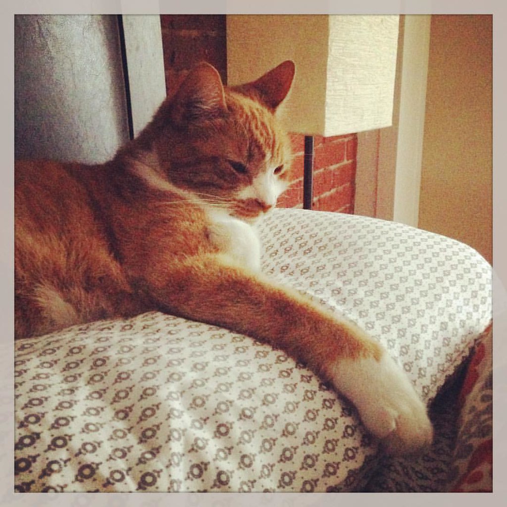 this hooplehead. Brandi Ediss Flickr