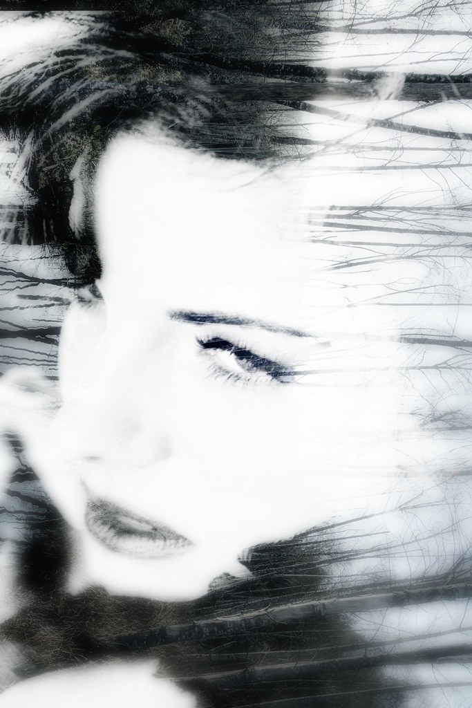 Portrait Double Exposure Model Dawn Kohler David Robillard Flickr