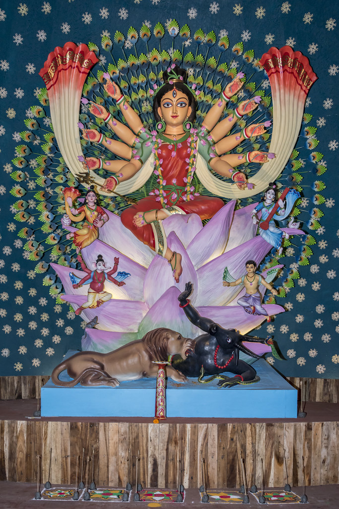 Lotus Flower 7 Durga Puja, Kolkata 2015 www.RICHARDSILVE… Flickr