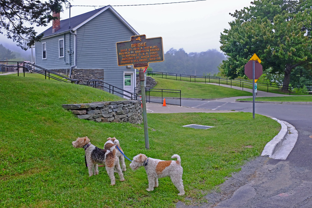 The Roebling Bridge toll house Monday morning, Minisink Fo… Flickr
